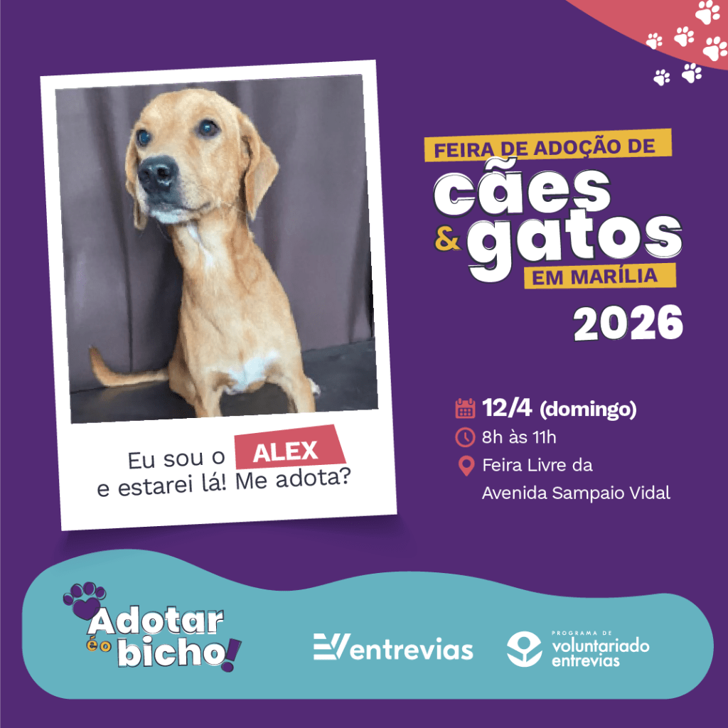 Entrevias realiza mais uma edição da Feira de Adoção em Marília
