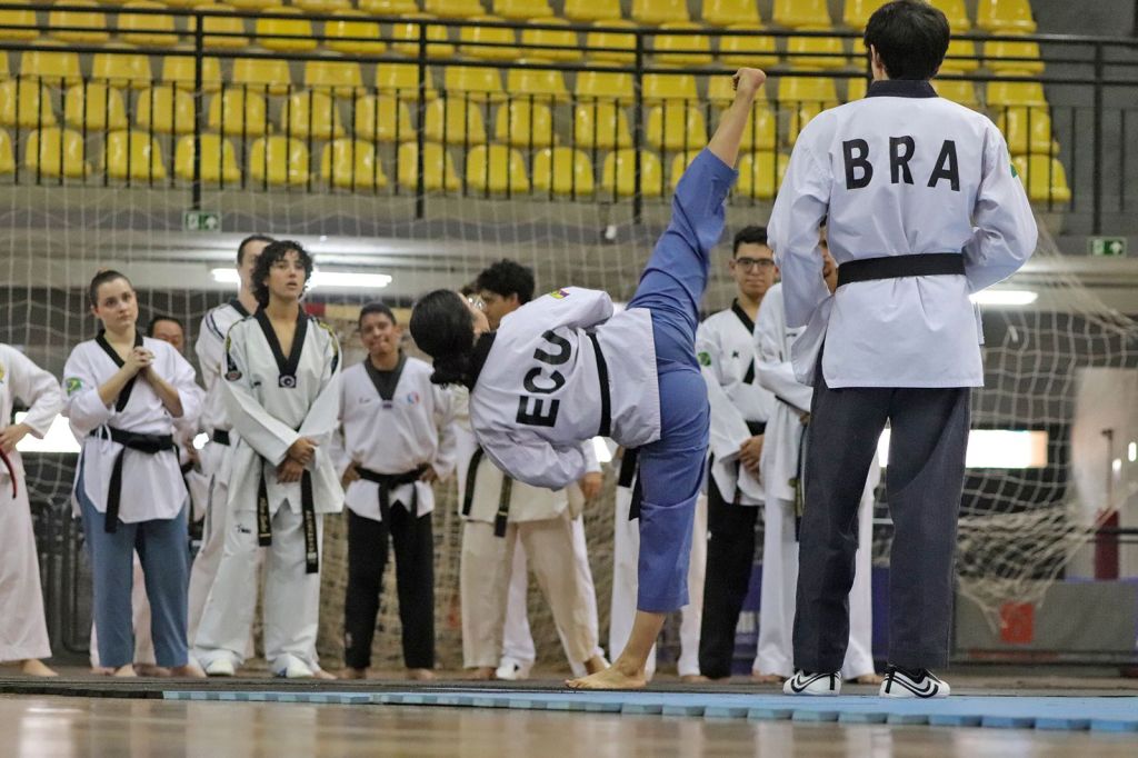 Seminário Internacional de Taekwondo reúne mestres, professores e atletas em&nbsp;Marília
