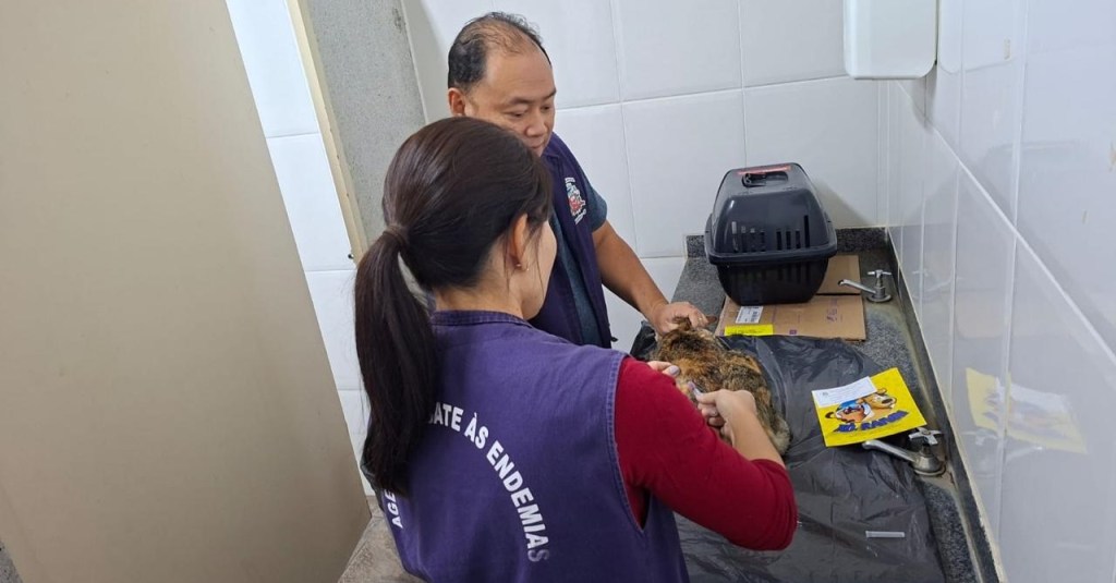 SAÚDE: Prefeitura retoma vacinação antirrábica, e ação será realizada sábado (27) na USF Santa&nbsp;Paula/Marajó